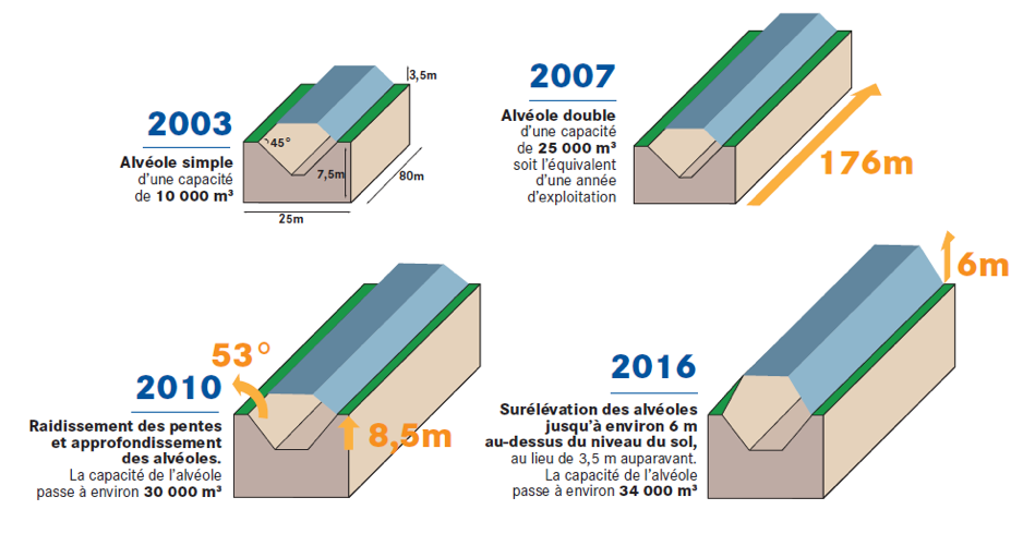 l’évolution des alvéoles